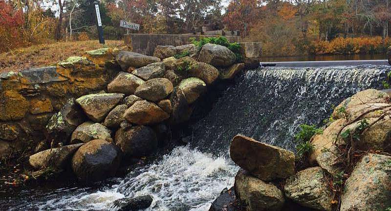 Priester’s Pond Preserve